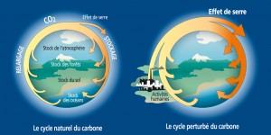 Climat - CO2 et effet de serre [vect]